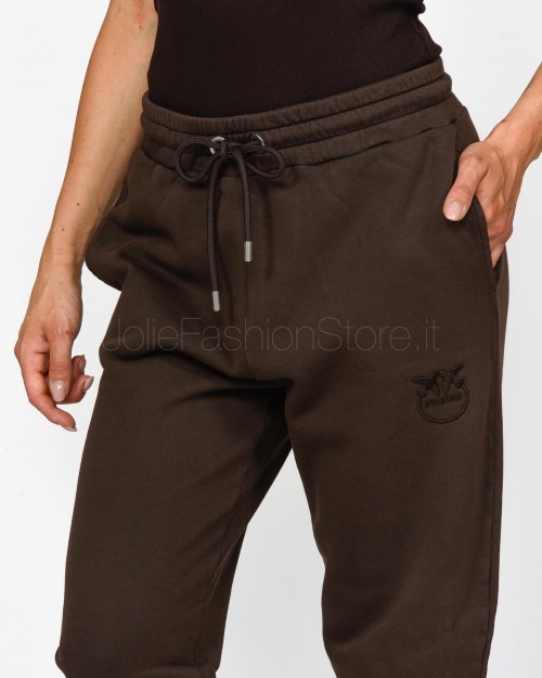 Pinko CARICO OLD WAS BROWN SWEATPANTS  100371 A21P M28