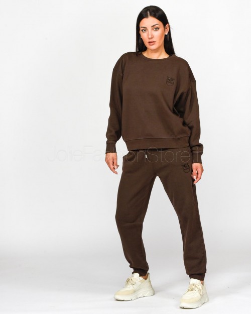 Pinko SETUP SWEATSHIRT OLD WASH LO BROWN  101831 A21P M28