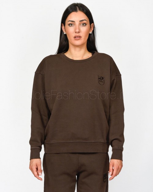 Pinko SETUP SWEATSHIRT OLD WASH LO BROWN  101831 A21P M28