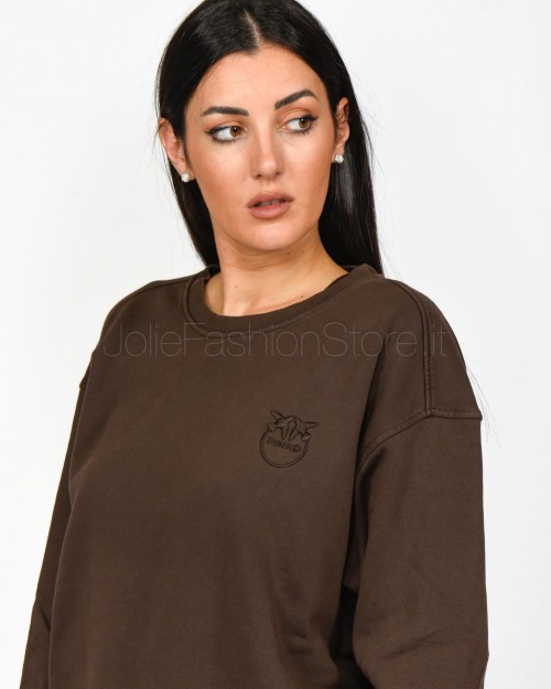 Pinko SETUP SWEATSHIRT OLD WASH LO BROWN  101831 A21P M28