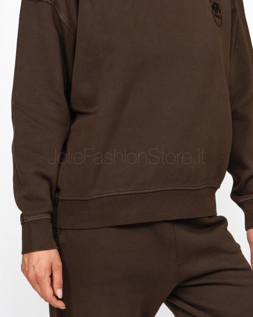 Pinko SETUP SWEATSHIRT OLD WASH LO BROWN  101831 A21P M28