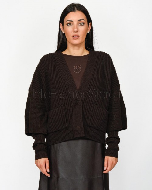 Pinko BRIOSO CARDIGAN WARM WOOL CACH BROWN BEYOND DARK  104062 A1CH M04