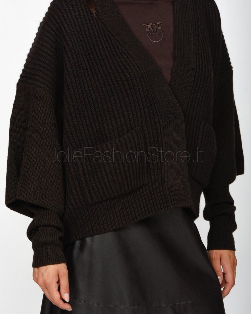 Pinko BRIOSO CARDIGAN WARM WOOL CACH BROWN BEYOND DARK  104062 A1CH M04